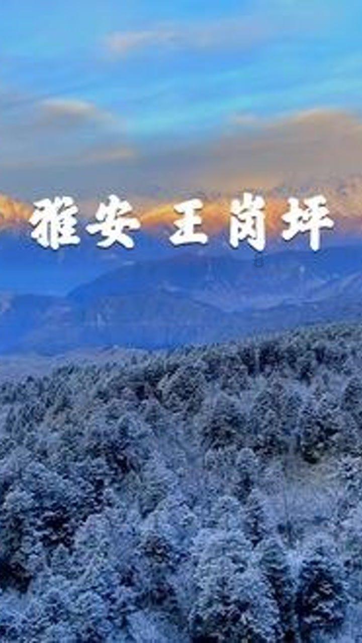 逃出巫婆屋