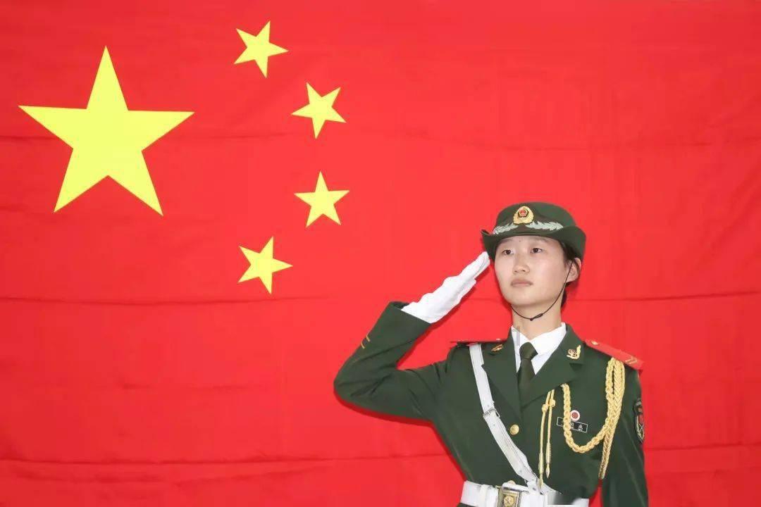 植物大战僵尸7